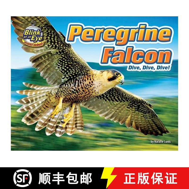 预订 Peregrine Falcon: Dive, Dive, Dive! [9781936087938]