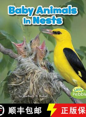预订 Baby Animals in Nests [9781515738329]