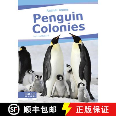 【3-4周达】Animal Teams: Penguin Colonies [9798889981930]