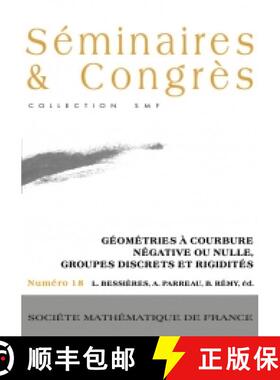 预订 Géométries à courbure négative ou nulle, groupes discrets et rigidités 法国数学学会 [9782856292402]