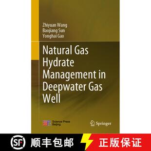 【3-4周达】精装 Natural Gas Hydrate Management in Deepwater Gas Well [9789811564178]