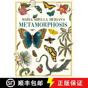 the 3周达 Merian Sibylla Metamorphosis Transformation Discovery Maria Woman One 9781528773423 Butte...