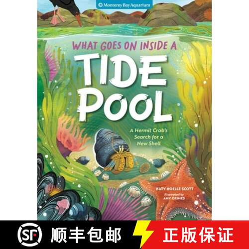 预订 精装 What Goes on Inside a Tide Pool: A Hermit Crab's Search for a New Shell [9781635867770]