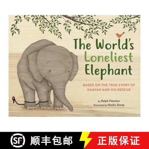 【3-4周达】精装 The World's Loneliest Elephant: Based on the True Story of Kaavan and His Rescue [9780316364591]