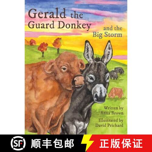 【3-4周达】精装 Gerald the Guard Donkey and the Big Storm [9798256181055]
