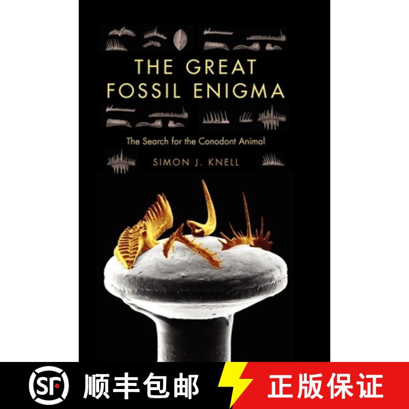 【3-4周达】The Great Fossil Enigma: The Search for the Conodont Animal [9780253006042]