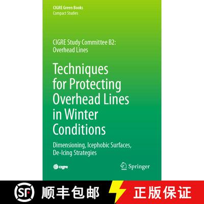 【3-4周达】Techniques for Protecting Overhead Lines in Winter Conditions : Dimensioning, Icephobic Su... [9783030874575]