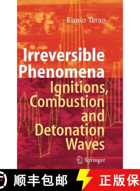 【3-4周达】Irreversible Phenomena : Ignitions, Combustion and Detonation Waves [9783540499008]