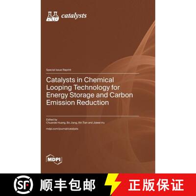 【3-4周达】精装 Catalysts in Chemical Looping Technology for Energy Storage and Carbon Emission Reduc... [9783725867189]