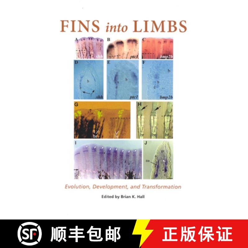 预订 Fins Into Limbs: Evolution, Development, and Transformation [9780226313375]