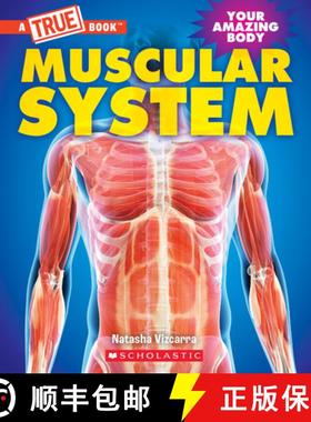预订 Muscular System (a True Book: Your Amazing Body) [9781339020990]