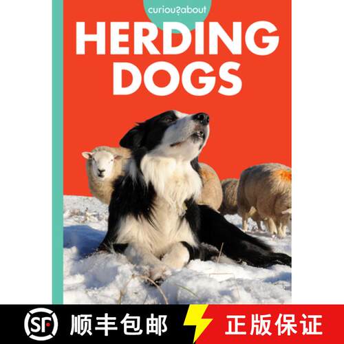 【3-4周达】Curious about Herding Dogs [9798892008549]
