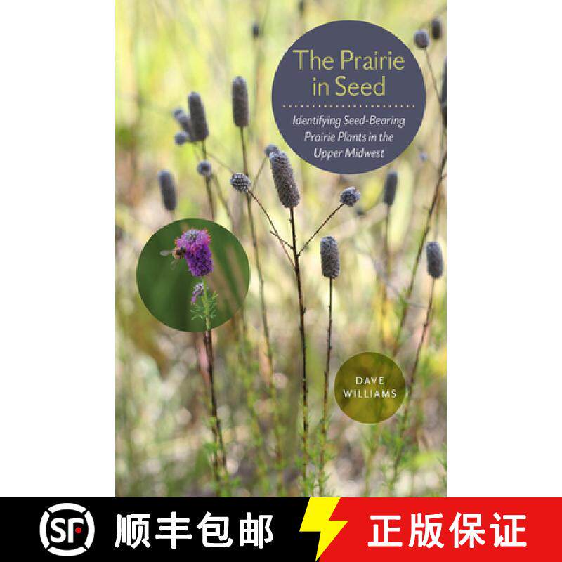 预订 The Prairie in Seed: Identifying Seed-Bearing Prairie Plants in the Upper Midwest [9781609384098]