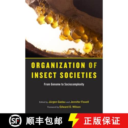 【3-4周达】精装 Organization of Insect Societies – From Genome to  Sociocomplexity [9780674031258]