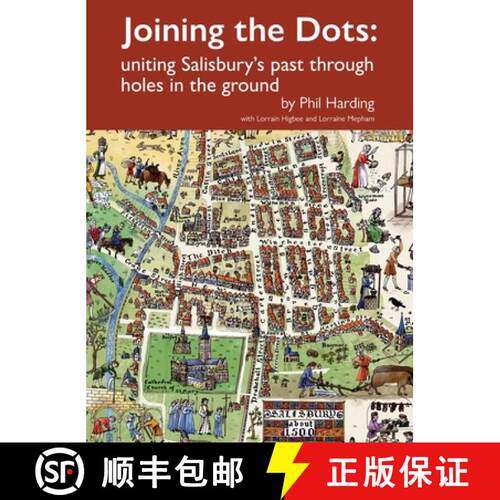 【3-4周达】精装 Joining the Dots: uniting Salisbury's past through holes in the ground [9781739187606]