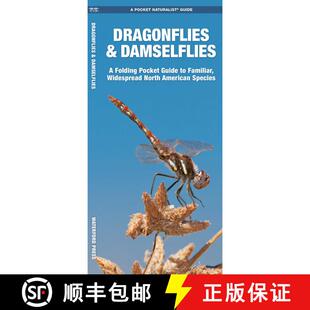 【3-4周达】Dragonflies & Damselflies: A Folding Pocket Guide to Familiar Widespread, North American S... [9781583554753]
