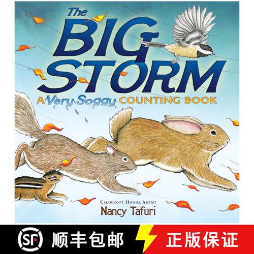 【3-4周达】精装 The Big Storm: A Very Soggy Counting Book [9781416967958]