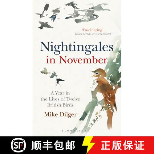 【3-4周达】Nightingales in November: A Year in the Lives of Twelve British Birds [9781472962423]