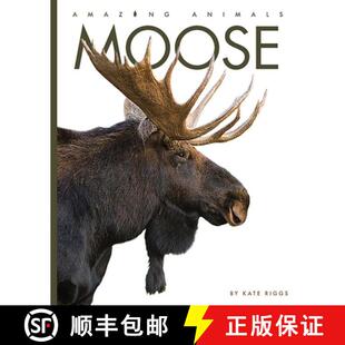 Moose 4周达 9781628329179