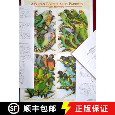 【3-4周达】African Poicephalus Parrots (Booklet + Poster) [9780951909829]