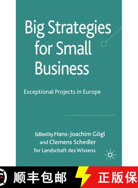 【3-4周达】Big Strategies for Small Business : Exceptional Projects in Europe [9780230223318]