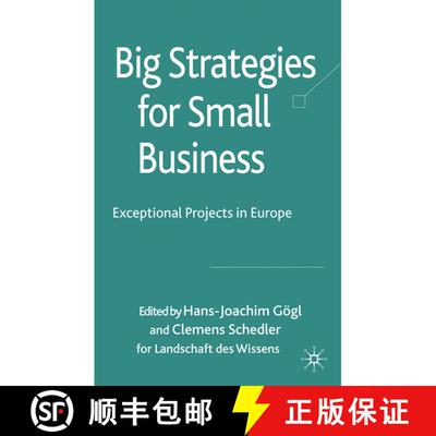 【3-4周达】Big Strategies for Small Business : Exceptional Projects in Europe [9780230223318]
