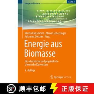 Physikalisch 9783658413859 Energie Bio Chemische Biomasse 4周达 Aus Konversion Und