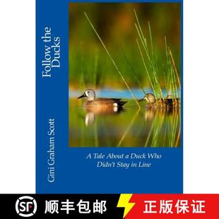 About Duck the 9781947466517 Line Follow Ducks Tale Didn Who Stay 4周达