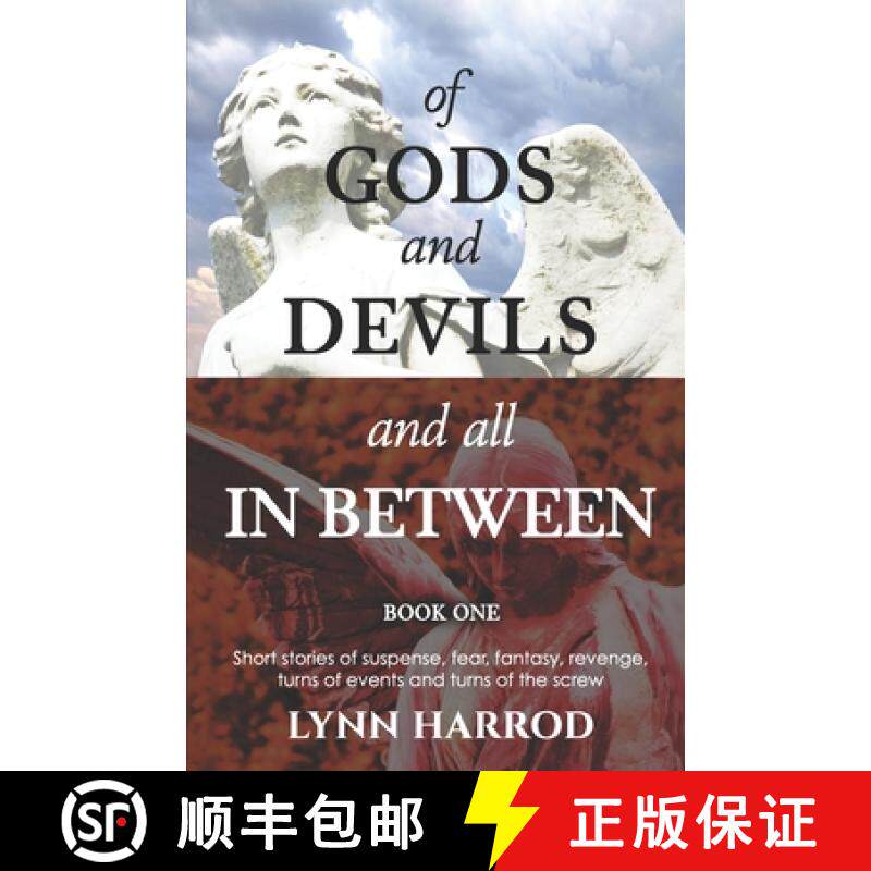 【3-4周达】Of Gods And Devils And All In Between - Book One [9781736723449]