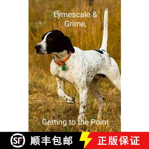 【3-4周达】Lymescale & Grime, Getting to the Point: Lymescale & Grime Book 6 [9781300869733]