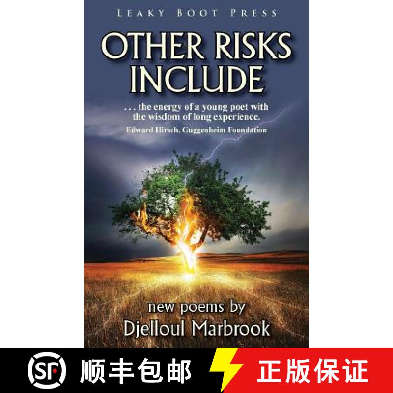 【2-3周达】Other Risks Include [9781909849235]