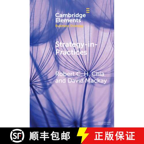 预订 Strategy-In-Practices: A Process-Philosophical Perspective on Strategy-Making [9781009096485]