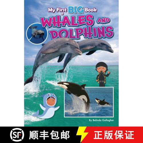 【3-4周达】My First Big Book of Whales and Dolphins [9781788566339]