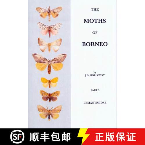 【3-4周达】The Moths of Borneo, Part 5 [9789834005313]
