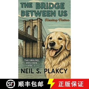 Between Healing 预订 9798349329876 Bridge Fiction The