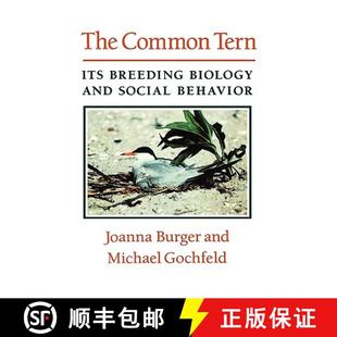 Breeding Tern Biology Behavior The Social 4周达 9780231075022 Common and Its