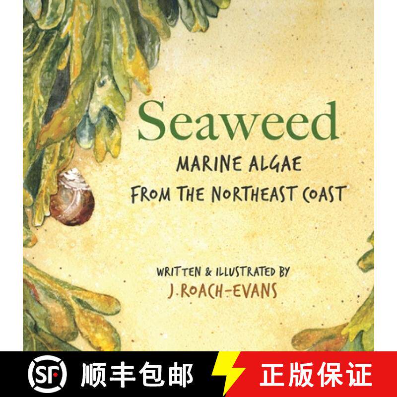 预订 Seaweed: Marine Algae from the Northeast Coast [9780578525662]