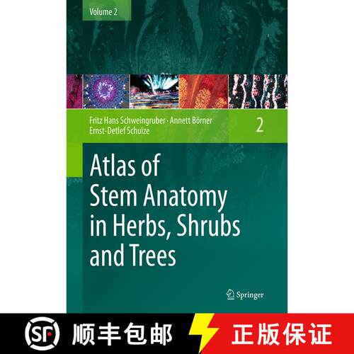 【3-4周达】Atlas of Stem Anatomy in Herbs, Shrubs and Trees: Volume 2 (Softcover reprint of the origi... [9783662520581]