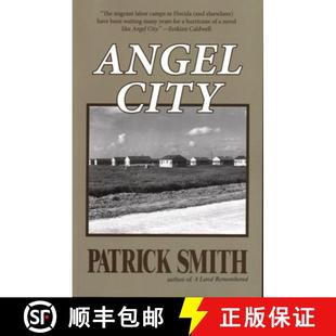 City Angel 4周达 9781561645671