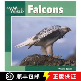 9781559719124 预订 Falcons