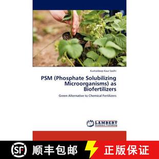 Solubilizing Microorganisms 预订 9783846539118 Phosphate Biofertilizers PSM