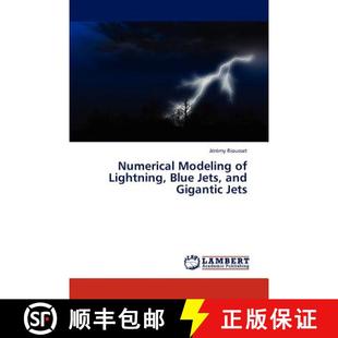 Jets Modeling 9783848407200 Gigantic and Blue Lightning Numerical 预订