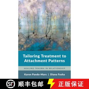 9780393713558 Attachment Trauma Healing Patterns Relationship 4周达 Tailoring Treatment