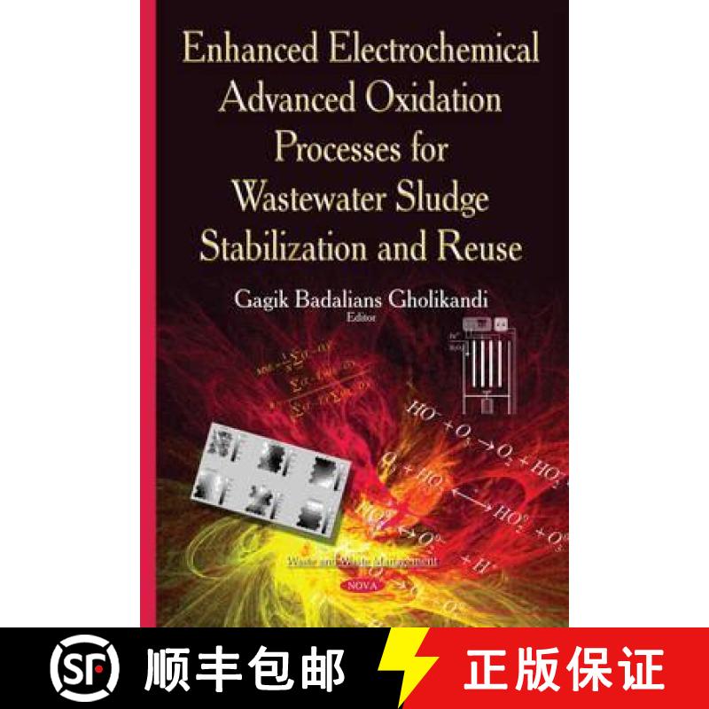 【3-4周达】Enhanced Electrochemical Advanced Oxidation Processes for Wastewater Sludge Stabilization ... [9781634820899]