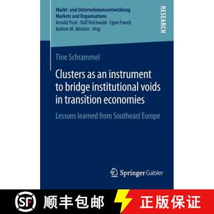 instrument economies Clusters Lessons transition bridge ... voids 4周达 9783658057244 institutional