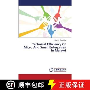 Malawi Small Enterprises and Efficiency Micro 9783659403569 预订 Technical