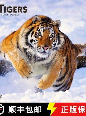 【3-4周达】Tigers 2026 12 X 24 Inch (Hanging) Monthly Square Wall Calendar Plastic-Free [9798330705900]