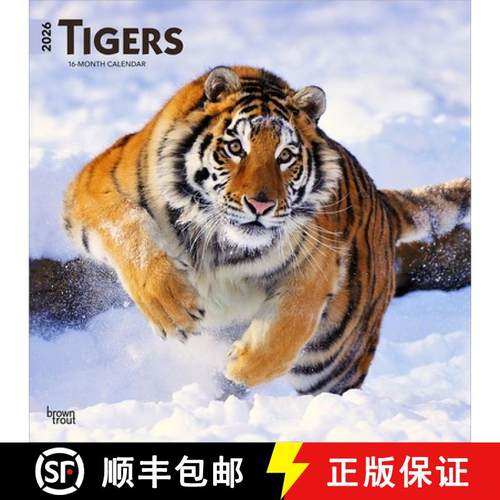 【3-4周达】Tigers 2026 12 X 24 Inch (Hanging) Monthly Square Wall Calendar Plastic-Free [9798330705900]