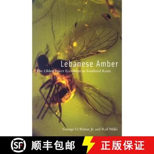 The Amber 4周達(dá) Resin Ecosystem Insect Fossilized 9780870715334 Lebanese Oldest