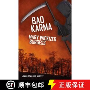 Bad Karma Mystery 9781479451173 Spaulding 3周达 David